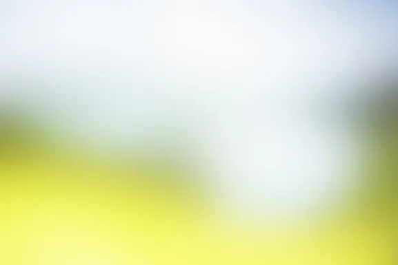 Mint Casino Supporto